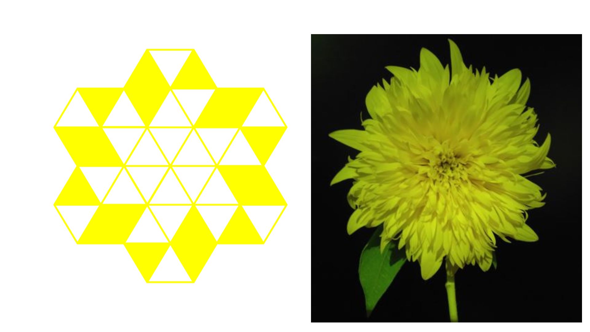HANAGRAM Won Honorable Mention Award at 2023 DIA!