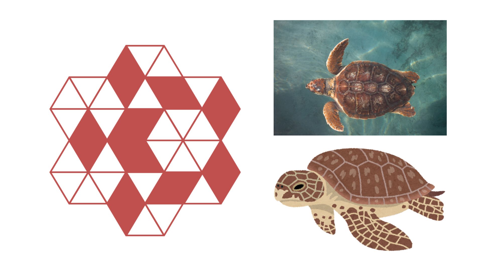 MIRU Puzzles: 3-Minute HANAGRAM Solutions Videos started!