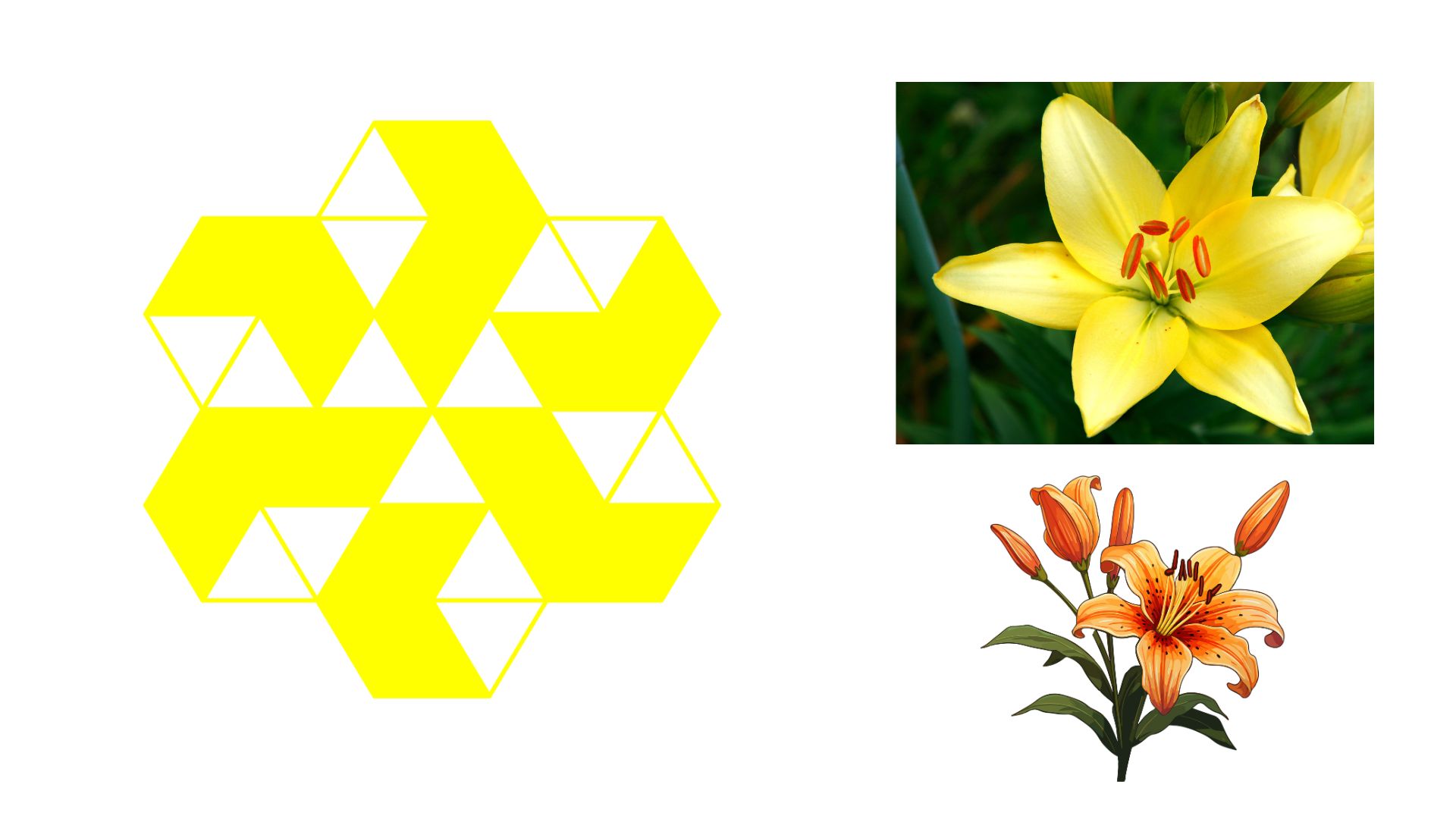 About the Origin of HANAGRAM