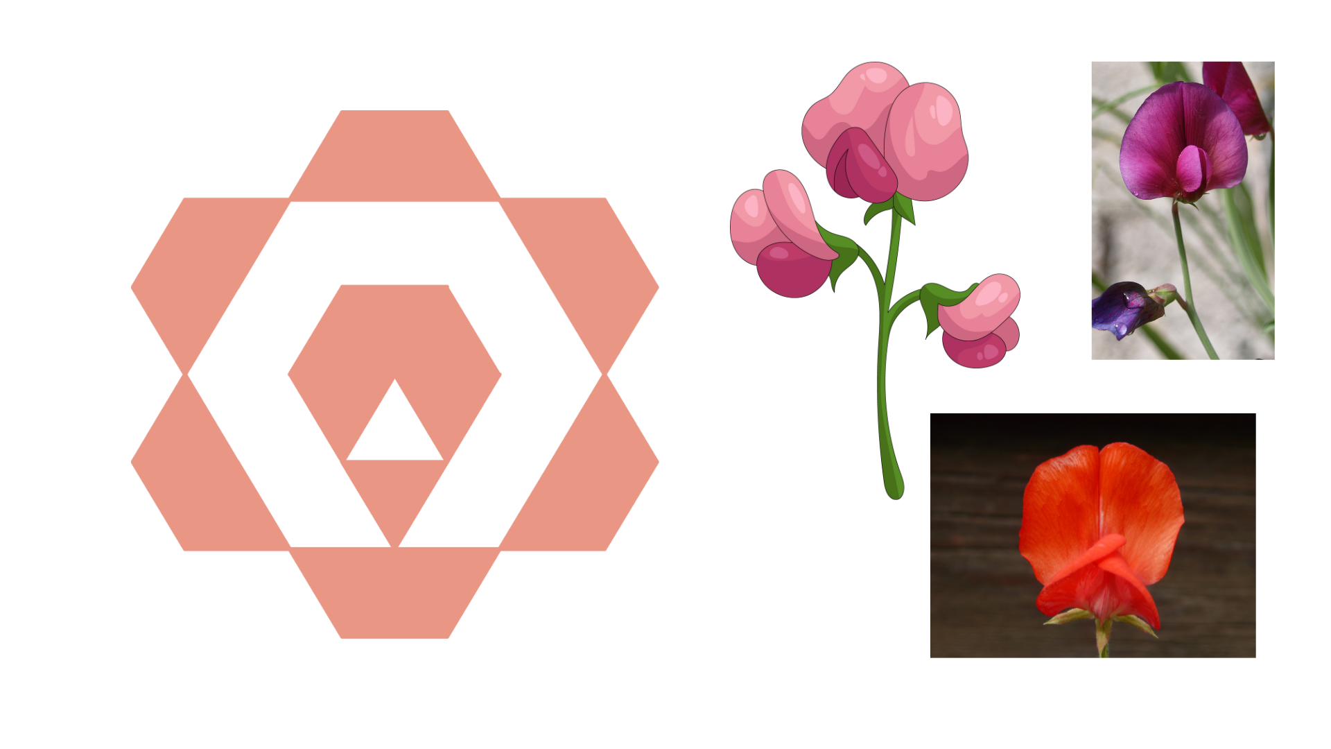 🌸 HANAGRAM “Flowers” HTML5 App Blooms into Life! 🌼