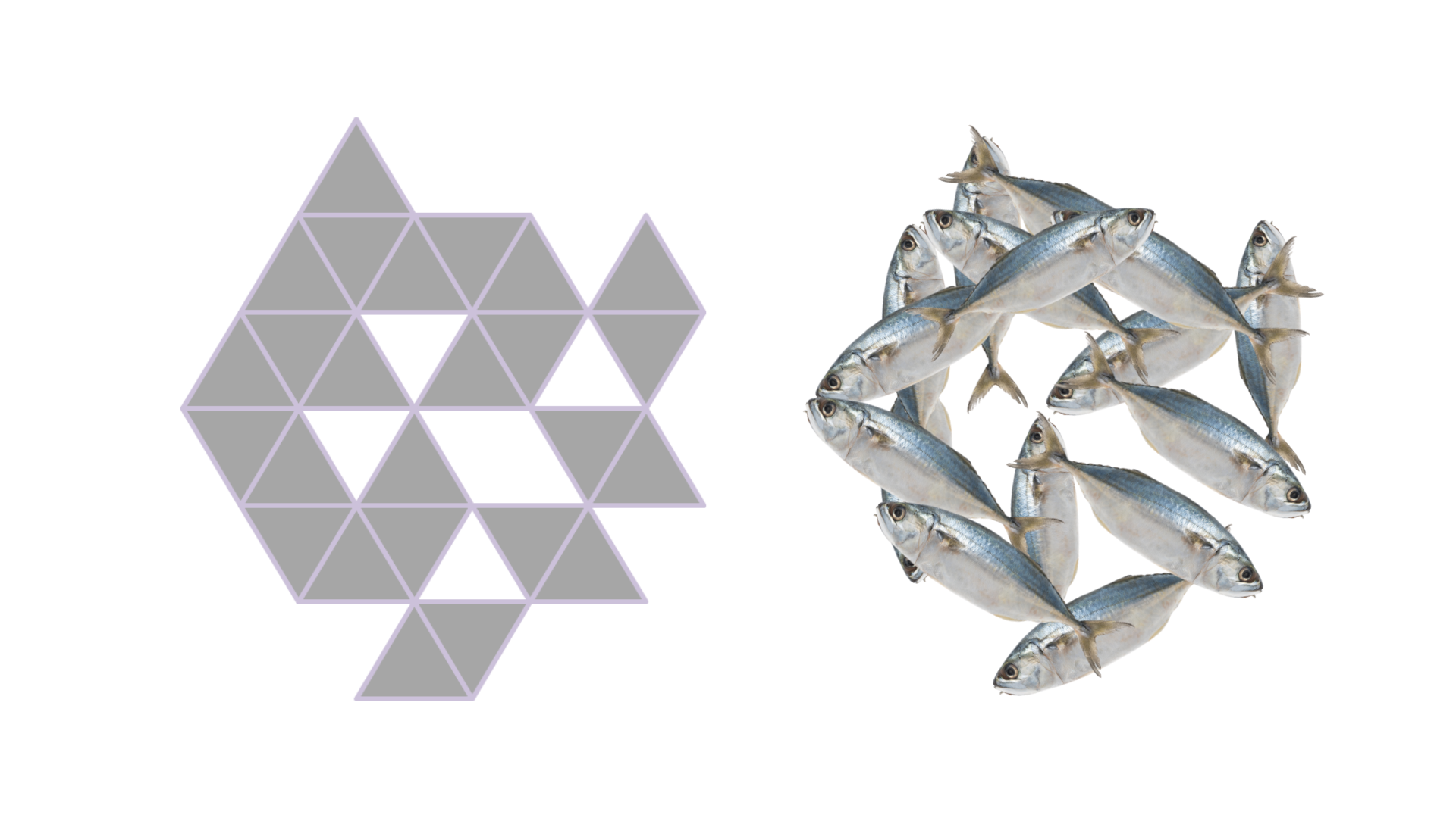 🌊 HANAGRAM Sea Creatures 2 Has Arrived! 🐙🐠